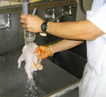 Chicken Spray