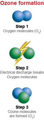 Ozone Process
