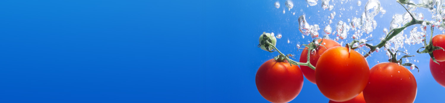 Tomatos in water